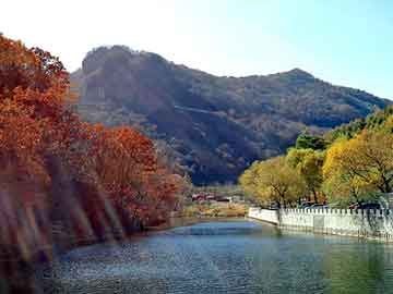 管家婆黑白马报图库，青同社区